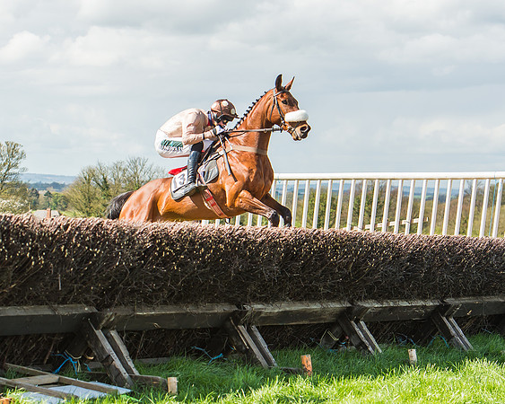 Race 1 - Confined Hunts Race-54
