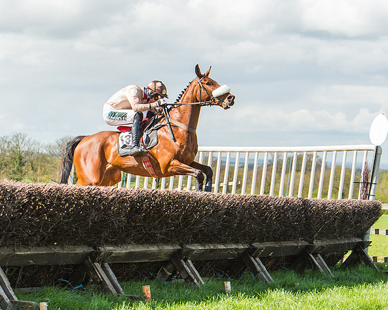 Race 1 - Confined Hunts Race-55
