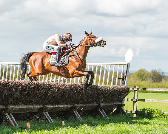 Race 1 - Confined Hunts Race-56