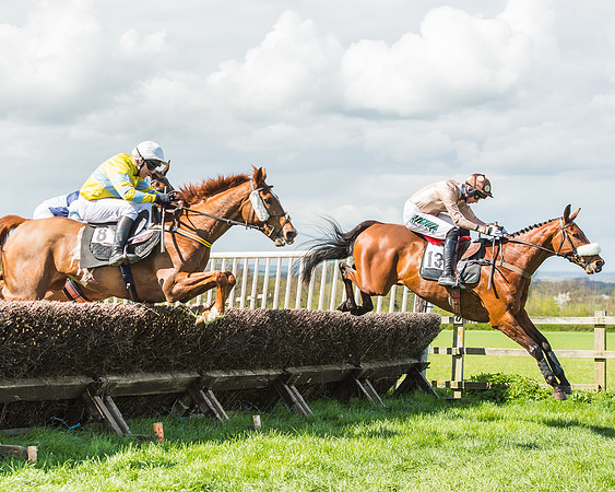 Race 1 - Confined Hunts Race-58