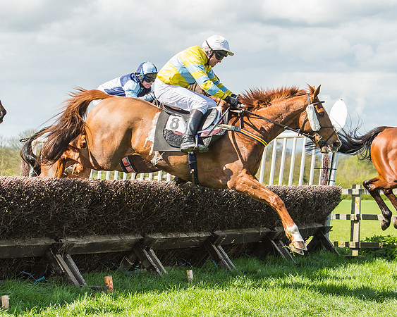 Race 1 - Confined Hunts Race-59