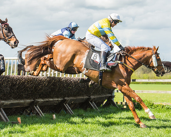 Race 1 - Confined Hunts Race-60