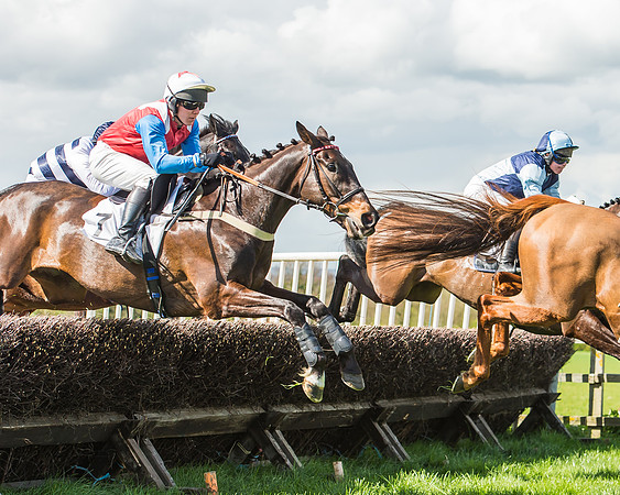 Race 1 - Confined Hunts Race-61