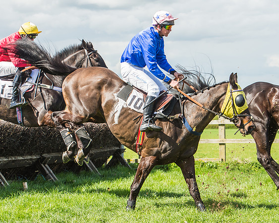 Race 1 - Confined Hunts Race-64