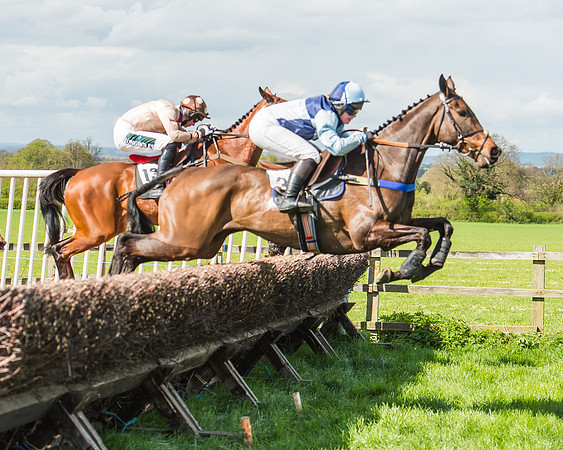 Race 1 - Confined Hunts Race-71