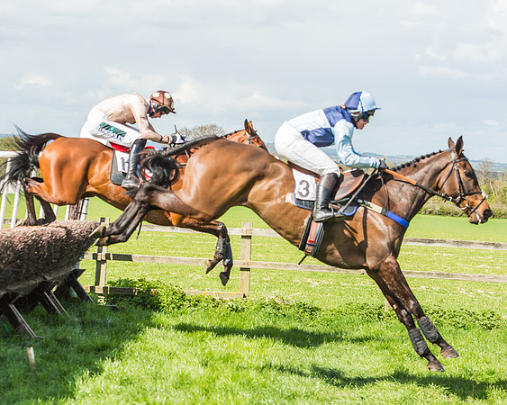 Race 1 - Confined Hunts Race-72