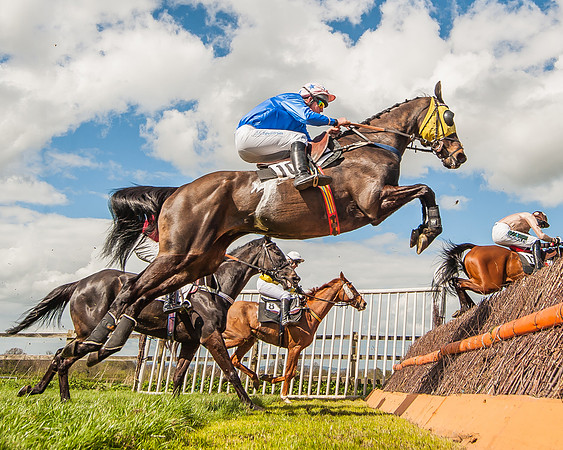 Race 1 - Confined Hunts Race-74