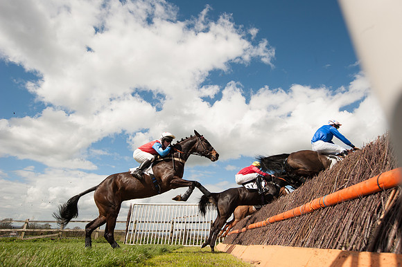 Race 1 - Confined Hunts Race-77