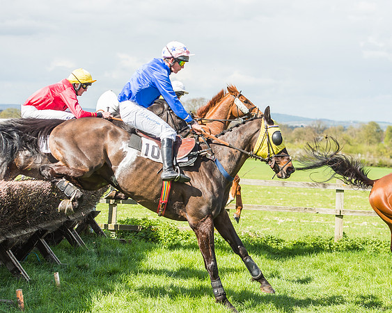 Race 1 - Confined Hunts Race-78