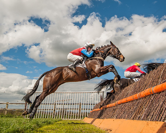 Race 1 - Confined Hunts Race-79