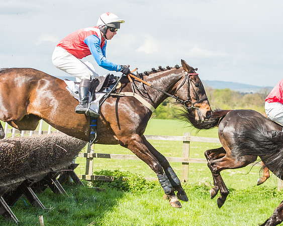 Race 1 - Confined Hunts Race-80