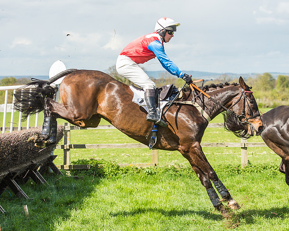Race 1 - Confined Hunts Race-81