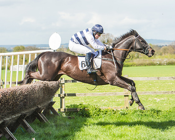 Race 1 - Confined Hunts Race-82