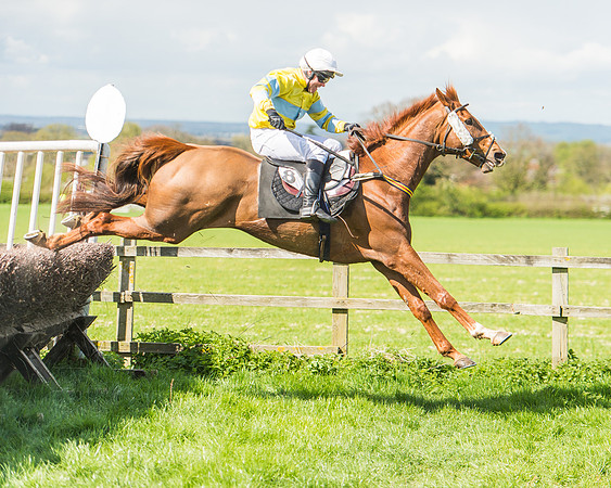Race 1 - Confined Hunts Race-87