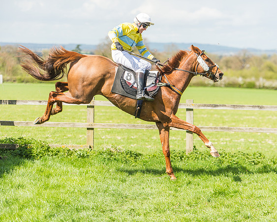 Race 1 - Confined Hunts Race-88