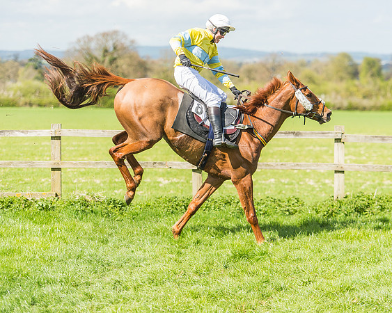 Race 1 - Confined Hunts Race-89