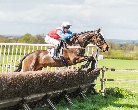 Race 1 - Confined Hunts Race-91