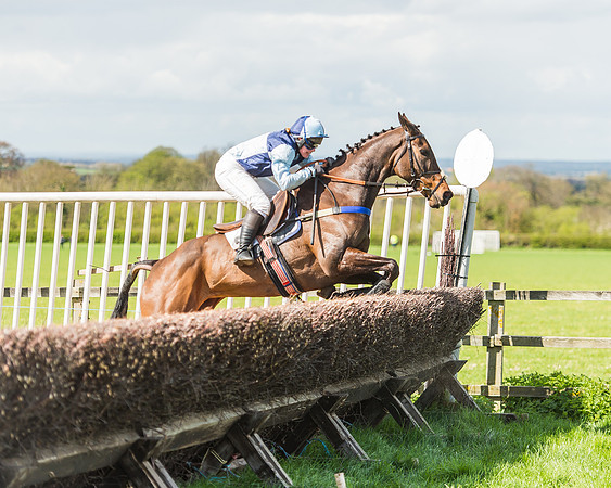 Race 1 - Confined Hunts Race-93