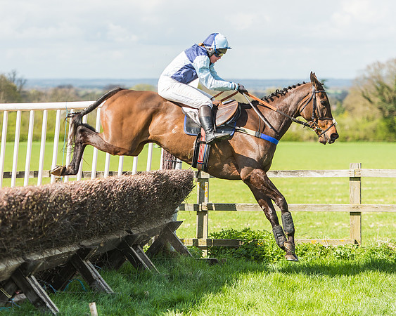 Race 1 - Confined Hunts Race-96