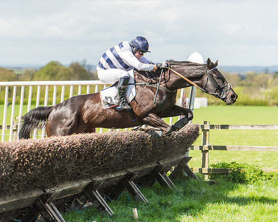 Race 1 - Confined Hunts Race-97