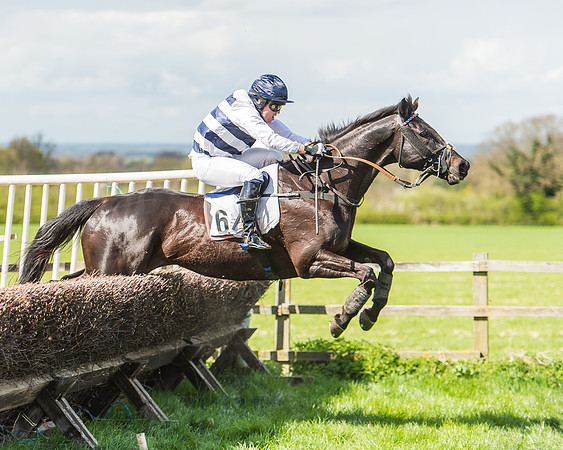 Race 1 - Confined Hunts Race-98