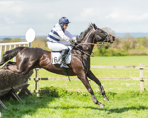 Race 1 - Confined Hunts Race-99