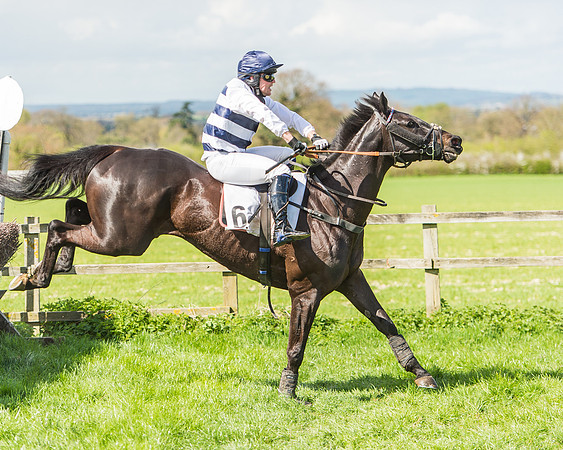 Race 1 - Confined Hunts Race-100