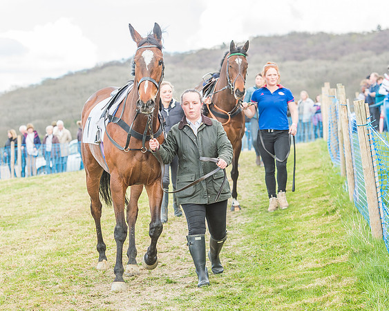 Race 3 - 4-5-6 Year Olds Open Maiden-8