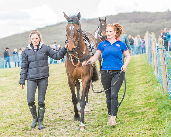 Race 3 - 4-5-6 Year Olds Open Maiden-10