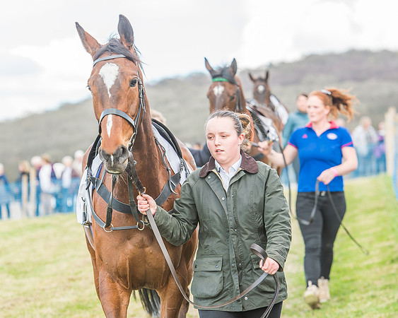 Race 3 - 4-5-6 Year Olds Open Maiden-9