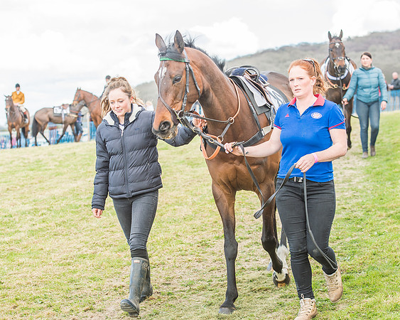 Race 3 - 4-5-6 Year Olds Open Maiden-11