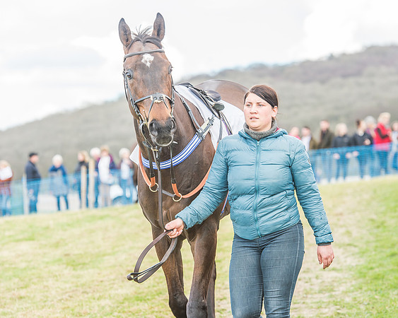 Race 3 - 4-5-6 Year Olds Open Maiden-13