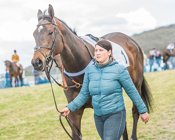 Race 3 - 4-5-6 Year Olds Open Maiden-14