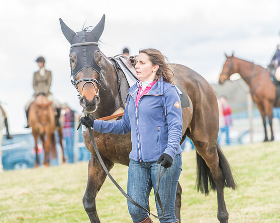 Race 3 - 4-5-6 Year Olds Open Maiden-15