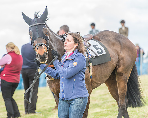 Race 3 - 4-5-6 Year Olds Open Maiden-16