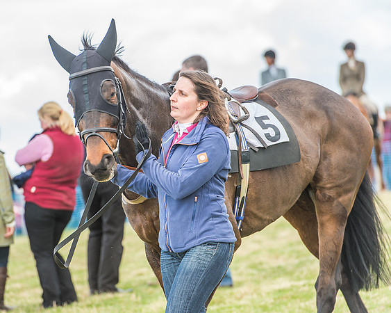 Race 3 - 4-5-6 Year Olds Open Maiden-17
