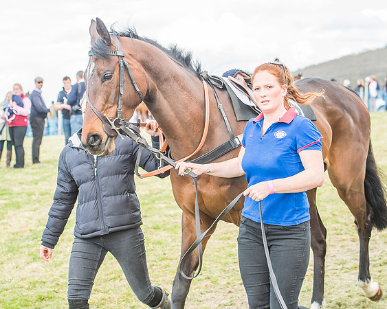 Race 3 - 4-5-6 Year Olds Open Maiden-18