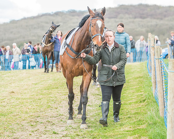 Race 3 - 4-5-6 Year Olds Open Maiden-22