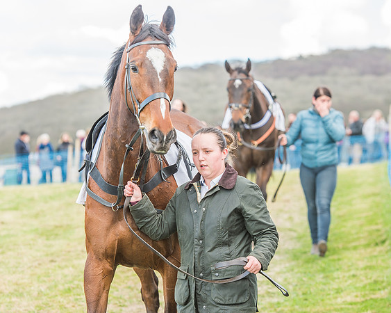 Race 3 - 4-5-6 Year Olds Open Maiden-23