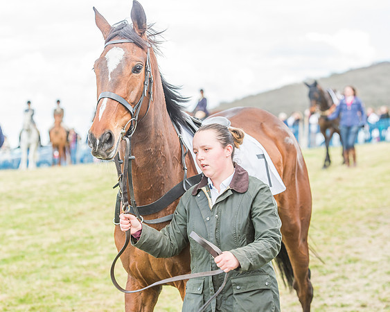 Race 3 - 4-5-6 Year Olds Open Maiden-24