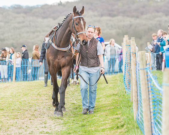 Race 3 - 4-5-6 Year Olds Open Maiden-26