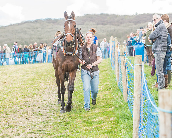 Race 3 - 4-5-6 Year Olds Open Maiden-27