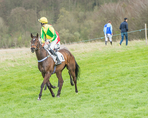 Race 3 - 4-5-6 Year Olds Open Maiden-30
