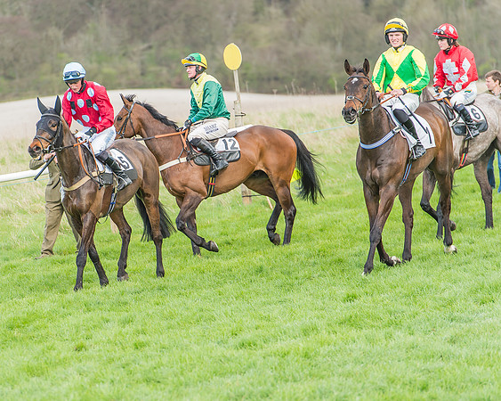 Race 3 - 4-5-6 Year Olds Open Maiden-31