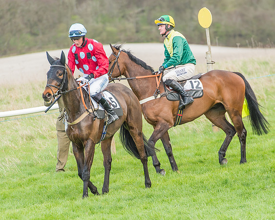 Race 3 - 4-5-6 Year Olds Open Maiden-32