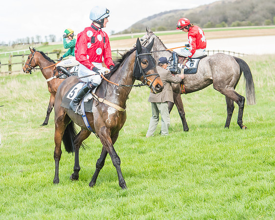 Race 3 - 4-5-6 Year Olds Open Maiden-33