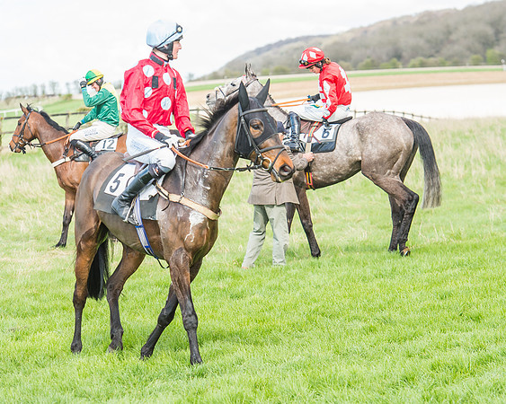 Race 3 - 4-5-6 Year Olds Open Maiden-34