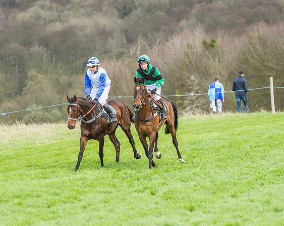 Race 3 - 4-5-6 Year Olds Open Maiden-36