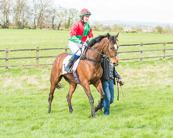 Race 3 - 4-5-6 Year Olds Open Maiden-37
