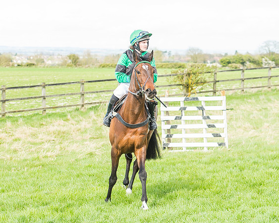 Race 3 - 4-5-6 Year Olds Open Maiden-38